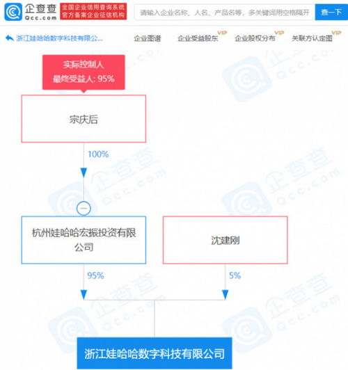 計算機技術(shù)服務(wù) 驅(qū)動數(shù)字化時代的核心力量