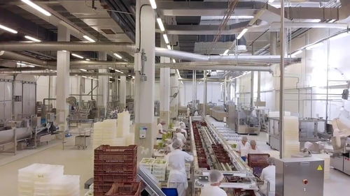 科技盛宴 食品機械加工如何以驚人技藝征服味蕾